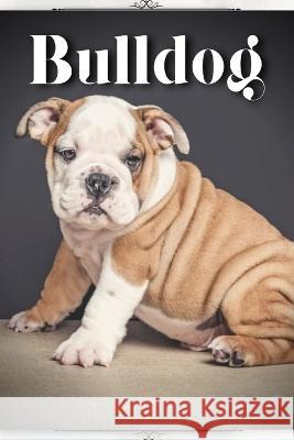 Bulldog: Dog Breed guide Nina Pustova   9798395427625 Independently Published - książka