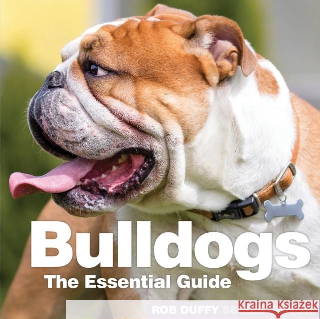Bulldogs: The Essential Guide Robert Duffy 9781910843673 Bxplans.Ltd - książka