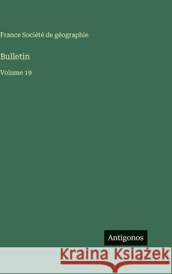 Bulletin: Volume 19 France Soci?t 9783563775691 Antigonos Verlag - książka