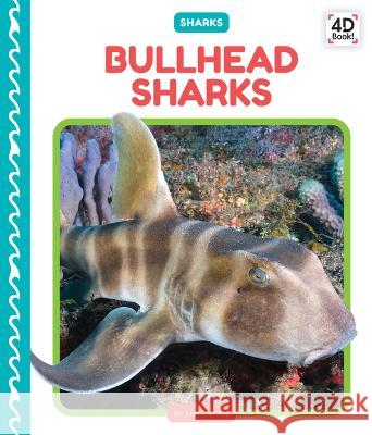 Bullhead Sharks Julie Murray 9781098244224 Cody Koala - książka
