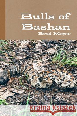 Bulls of Bashan Brad Meyer 9781329926202 Lulu.com - książka