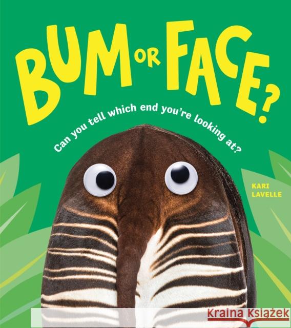 Bum or Face Kari Lavelle 9781728292908 Sourcebooks, Inc - książka