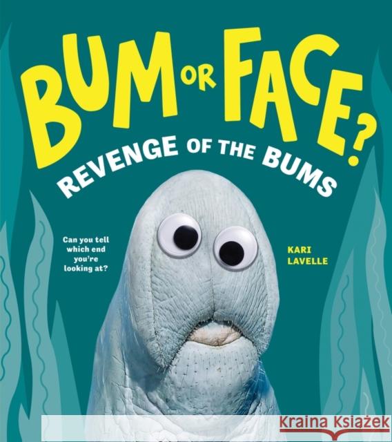 Bum or Face? Volume 2: Revenge of the Bums Kari Lavelle 9781464224010 Sourcebooks, Inc - książka