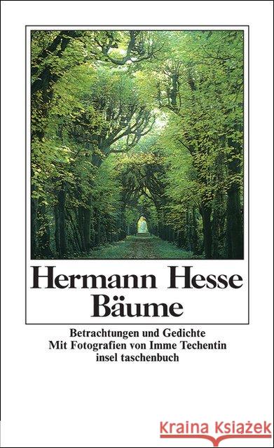 Bäume : Betrachtungen und Gedichte Hesse, Hermann   9783458321552 Insel, Frankfurt - książka