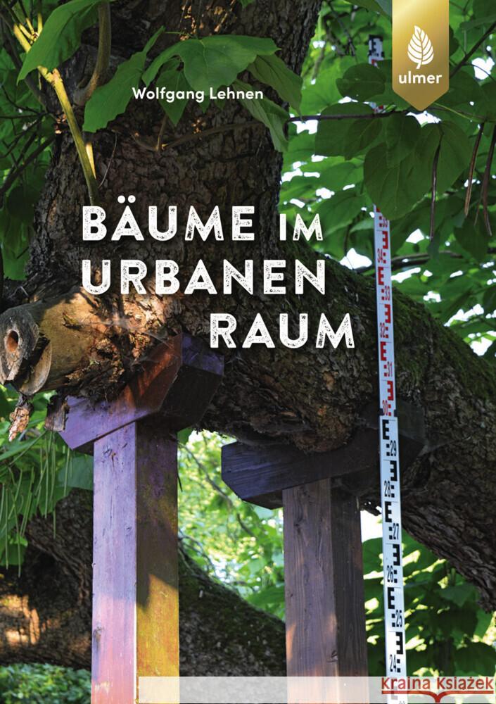 Bäume im urbanen Raum Lehnen, Wolfgang 9783818624026 Verlag Eugen Ulmer - książka