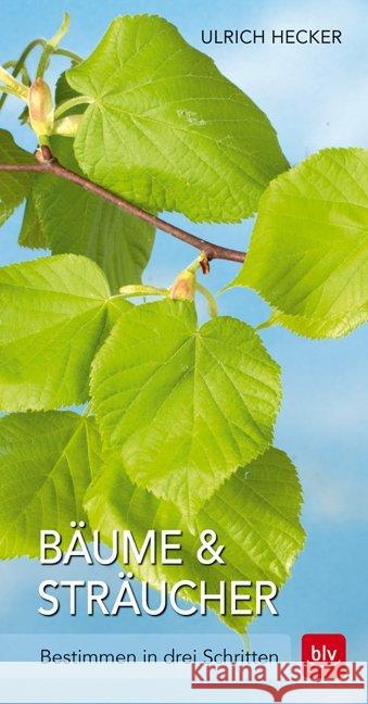 Bäume und Sträucher : Bestimmen in drei Schritten Hecker, Ulrich 9783835415577 BLV Buchverlag - książka
