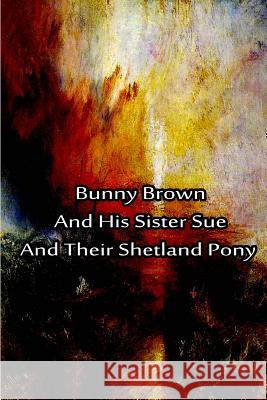Bunny Brown And His Sister Sue And Their Shetland Pony Hope, Laura Lee 9781480028982 Createspace - książka