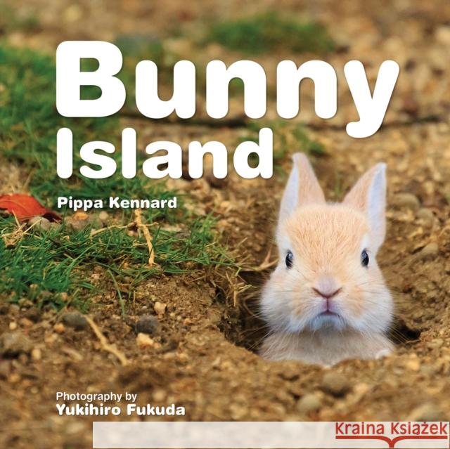 Bunny Island Philippa Kennard Yukihiro Fukuda 9781770856578 Firefly Books - książka