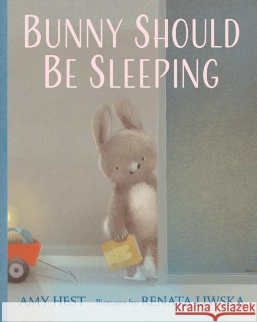 Bunny Should Be Sleeping Amy Hest 9780823453412 Holiday House - książka