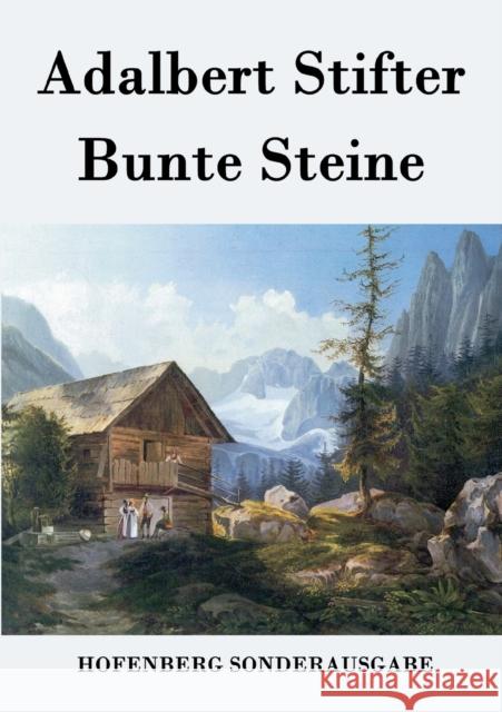 Bunte Steine Adalbert Stifter 9783843076418 Hofenberg - książka