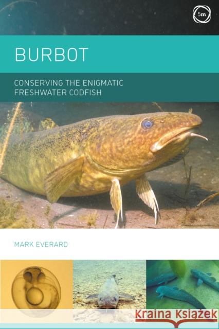 Burbot: Conserving the Enigmatic Freshwater Codfish Mark Everard 9781789181456 5m Publishing - książka