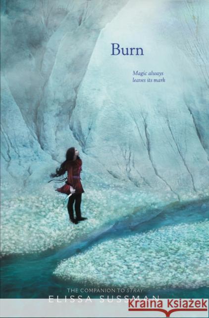 Burn Elissa Sussman 9780062274601 Greenwillow Books - książka