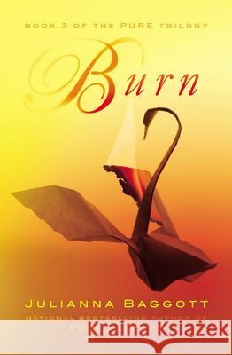 Burn Julianna Baggott 9781455503018 Grand Central Publishing - książka