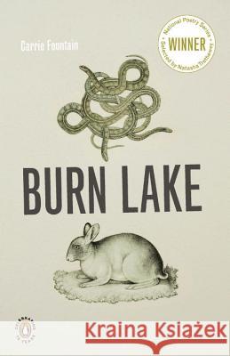 Burn Lake Carrie Fountain 9780143117711 Penguin Books - książka
