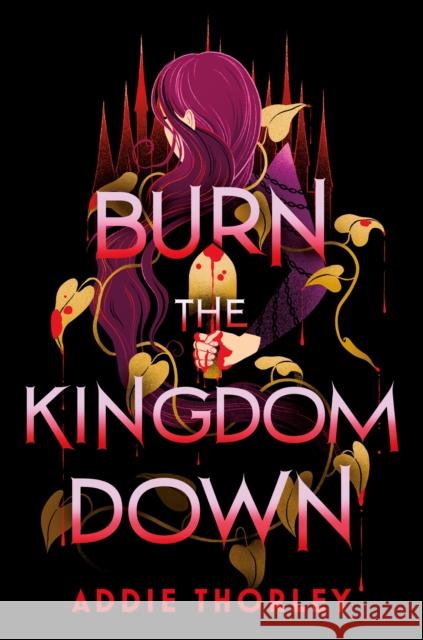 Burn the Kingdom Down Addie Thorley 9781464275463 Sourcebooks, Inc - książka