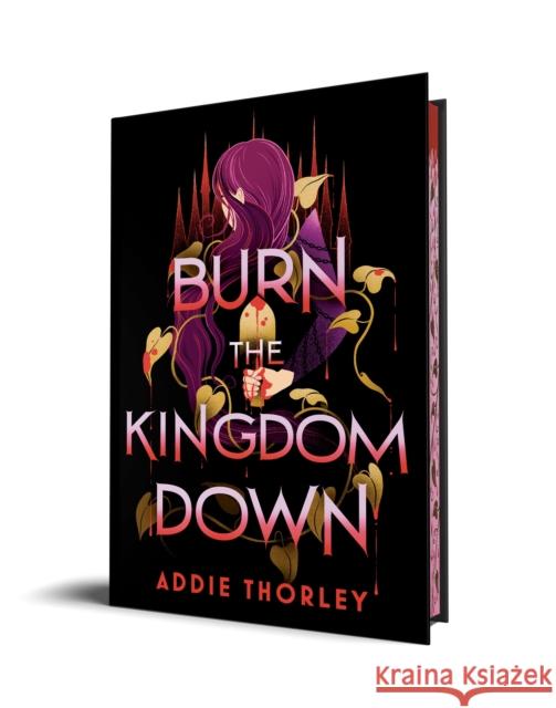 Burn the Kingdom Down Addie Thorley 9781728283036 Sourcebooks Fire - książka