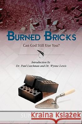 Burned Bricks: Can God still use you? Philip, Sunny 9781448648054 Createspace - książka