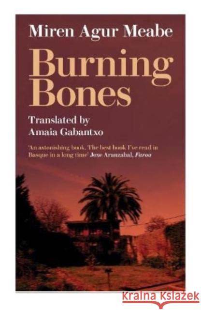 Burning Bones Miren Agur Meabe 9781913640538 Parthian Books - książka