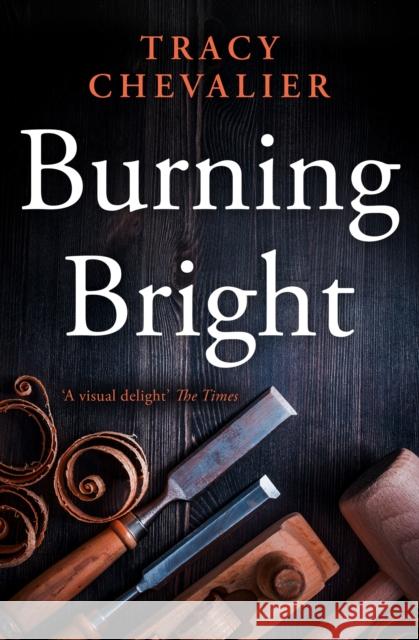 Burning Bright Tracy Chevalier 9780007178360 HarperCollins Publishers - książka