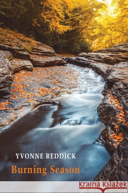 Burning Season Yvonne Reddick 9781780376455 Bloodaxe Books Ltd - książka