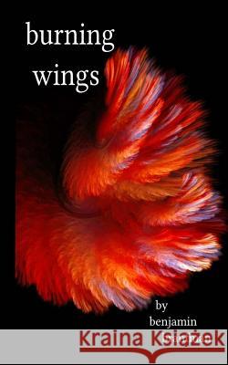 Burning Wings Benjamin Branfman 9781539545323 Createspace Independent Publishing Platform - książka