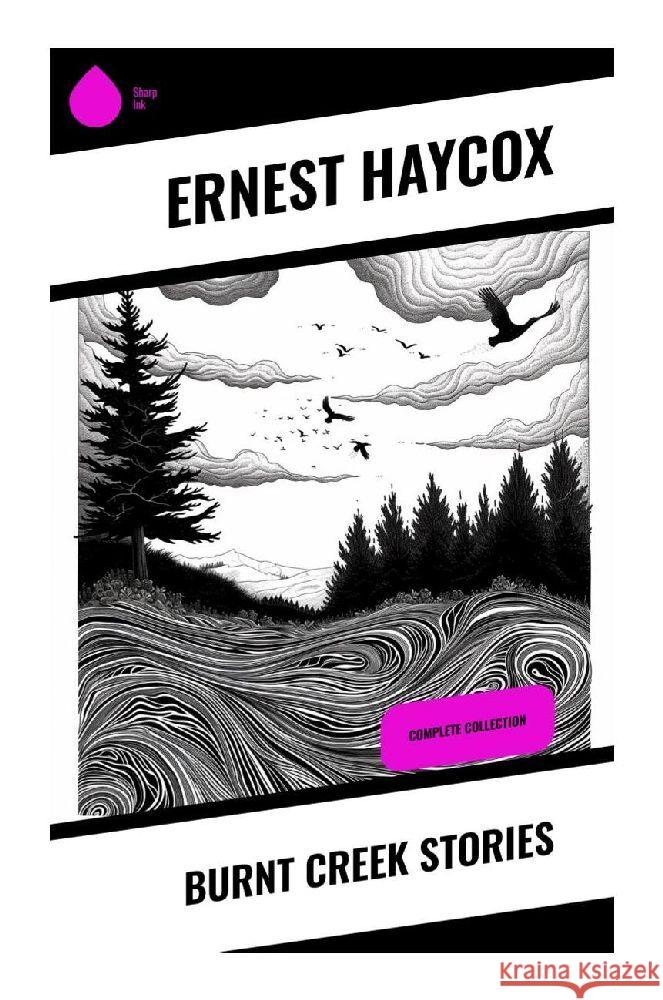 Burnt Creek Stories Haycox, Ernest 9788028356903 Sharp Ink - książka