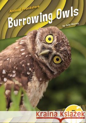 Burrowing Owls Julie Murray 9781098228330 Dash! - książka