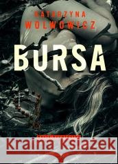 Bursa Katarzyna Wolwowicz 9788381324731 Zwierciadło - książka