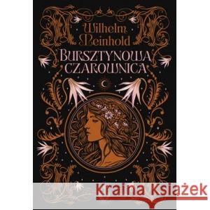 Bursztynowa czarownica MEINHOLD WILHELM 9788383352091 ZYSK I S-KA - książka