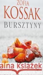 Bursztyny Zofia Kossak 9788321120416 PAX - książka