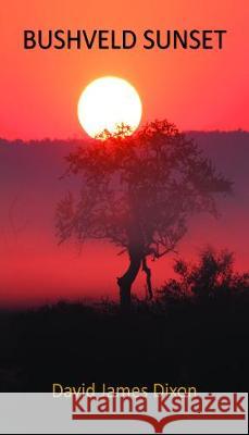 Bushveld Sunset David James Dixon 9781786236760 Grosvenor House Publishing Ltd - książka