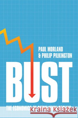 Bust Philip Pilkington 9781509572533 Polity Press - książka