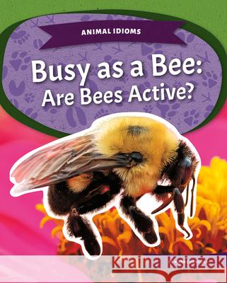 Busy as a Bee: Are Bees Active?: Are Bees Active? Marne Ventura 9781532196669 Kids Core - książka