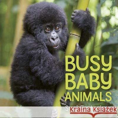 Busy Baby Animals Suzi Eszterhas 9781771474467 Owlkids - książka
