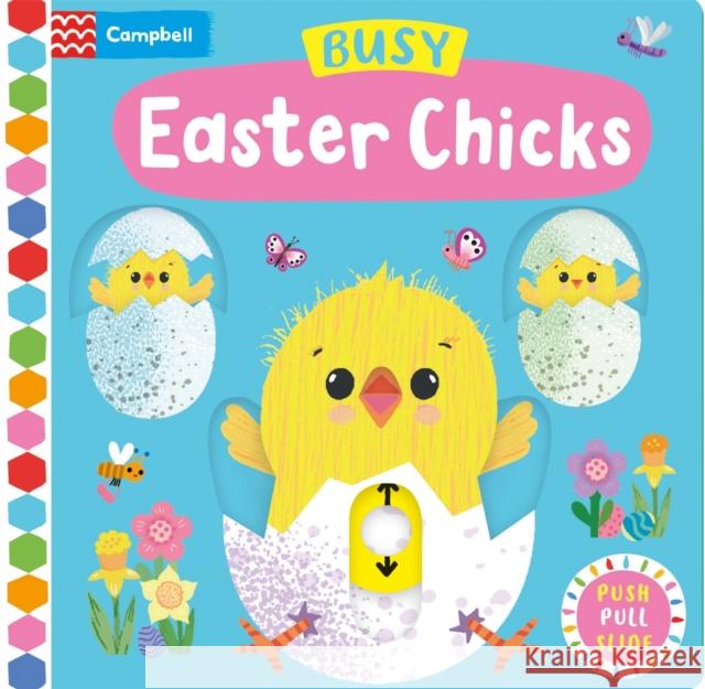 Busy Easter Chicks Campbell Books 9781529087369 Pan Macmillan - książka