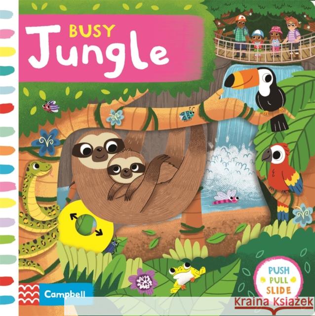 Busy Jungle Campbell Books 9781529052435 Pan Macmillan - książka