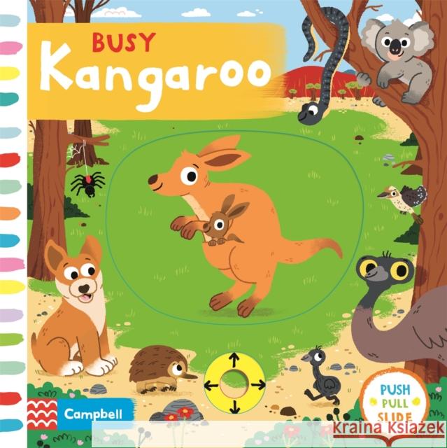 Busy Kangaroo Campbell Books 9781529017700 Pan Macmillan - książka