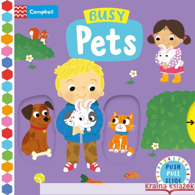 Busy Pets: A Push, Pull, Slide Book Campbell Books 9781529084658 Pan Macmillan - książka