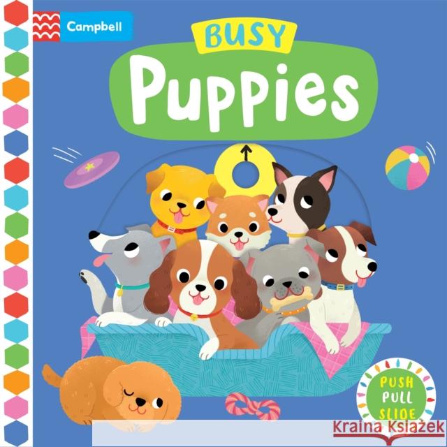 Busy Puppies Campbell Books 9781529084771 Pan Macmillan - książka