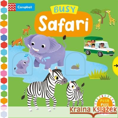 Busy Safari Campbell Books 9781035056200 Pan Macmillan - książka