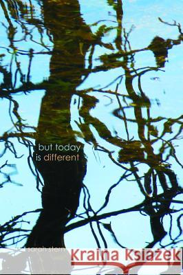 But Today Is Different Sarah Stern 9781625649171 Resource Publications (OR) - książka