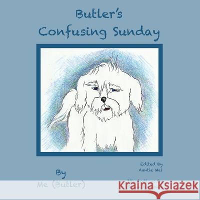 Butler's Confusing Sunday Butler Siorek Auntie Mel Stangeland Shawn Diamond 9781495935503 Createspace - książka