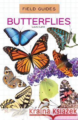 Butterflies Laura Lane 9781532198816 Abdo Reference - książka