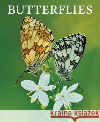 Butterflies Ron Orenstein Thomas Marent 9781770855809 Firefly Books - książka