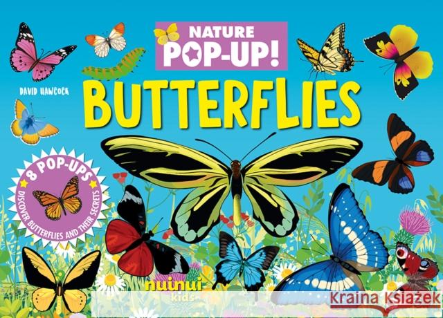 Butterflies  9782889754045 nuinui - książka