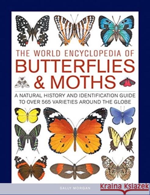 Butterflies & Moths, The World Encyclopedia of: A natural history and identification guide to over 565 varieties around the globe Sally Morgan 9780754834762 Anness Publishing - książka