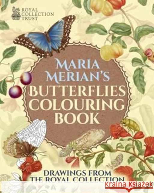 Butterflies Colouring Book Merian, Maria Sibylla 9781784286378 Arcturus Publishing Ltd - książka
