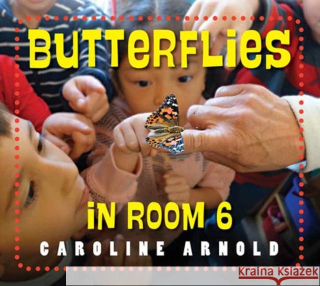 Butterflies in Room 6: See How They Grow  9781623542672 Charlesbridge Publishing,U.S. - książka