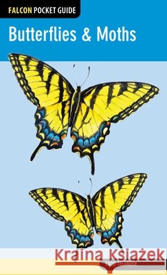 Butterflies & Moths Todd Telander 9780762779338 FalconGuide - książka