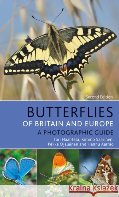 Butterflies of Britain and Europe: A Photographic Guide Tari Haahtela 9781472960535 Bloomsbury Wildlife - książka
